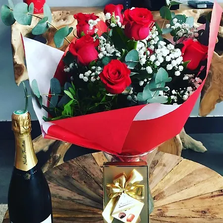 Appartement Romance Lofts De Gamme Avec Sauna *