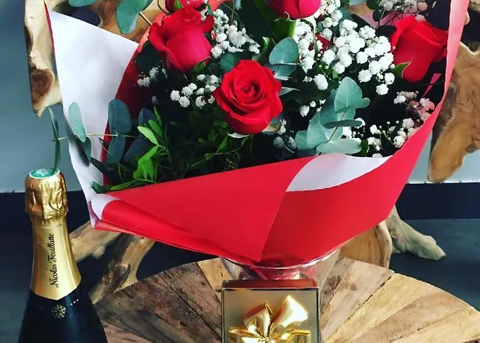 Apartamento Romance Lofts De Gamme Avec Sauna *